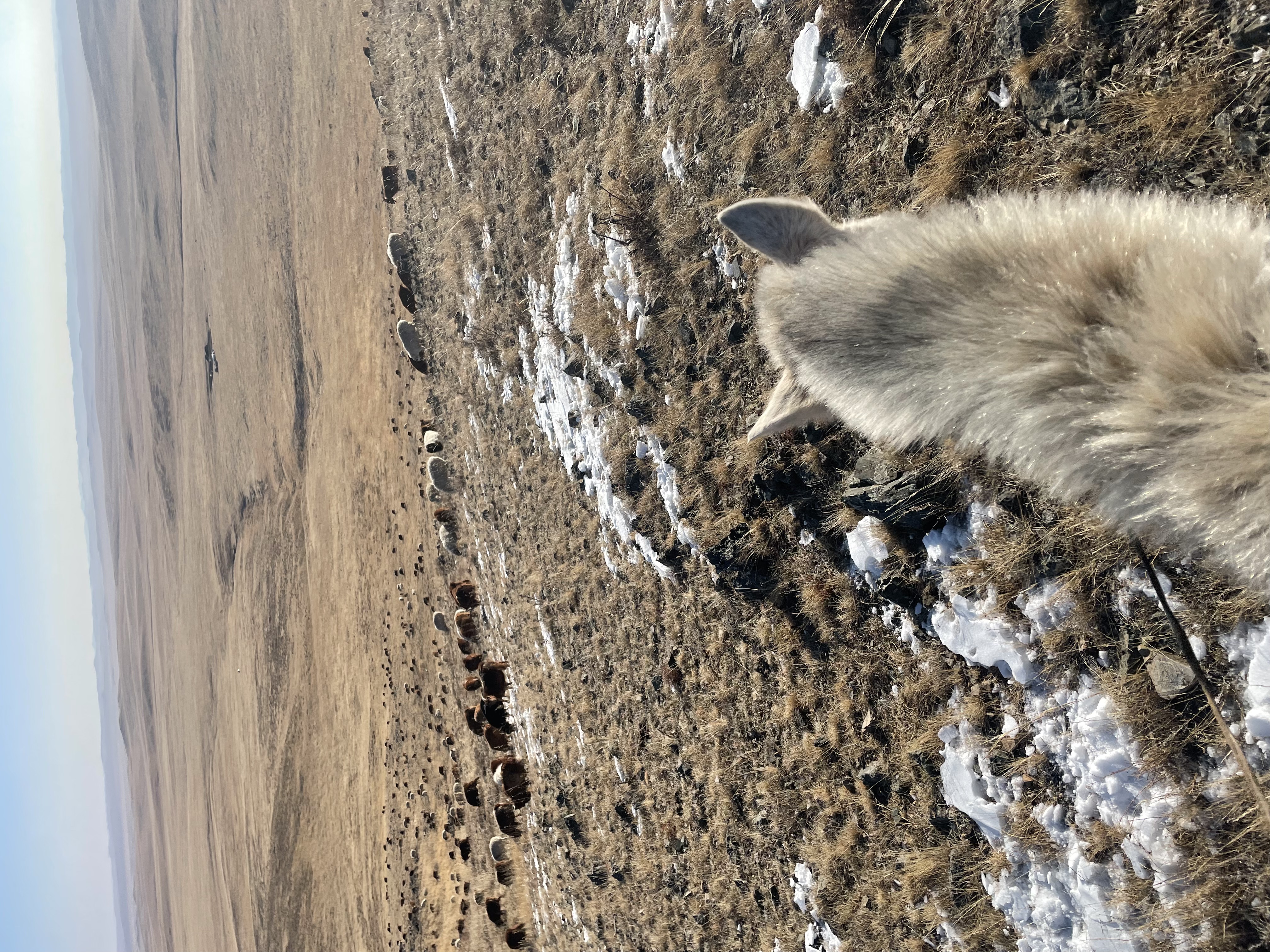 Kindergarten photo 2